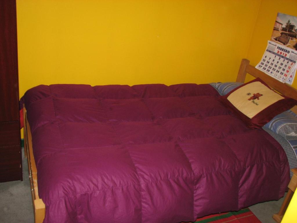 Hostal El Mirador Punta Arenas Cameră foto
